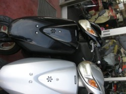 �z���_�f�B�I�i���Q���V���l�s�j�摜2