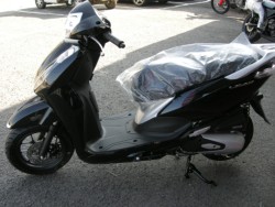 �z���_���[�h125�i���Q���V���l�s�j�摜2