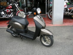 �z���_Today�i���Q���V���l�s�j�摜2