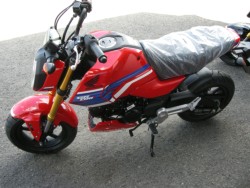 �z���_�O�����i���Q���V���l�s�j�摜2
