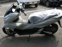 �z���_PCX�i���Q���V���l�s�j�摜2