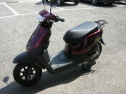 �z���_�^�N�g�E�x�[�V�b�N�i���Q���V���l�s�j�摜2