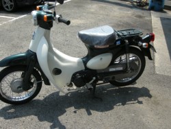 �z���_���g���J�u�i���Q���V���l�s�j�摜2