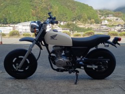�z���_�G�C�v50�i���R�������s�j�摜4