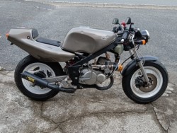 YSR50