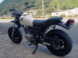 �z���_�G�C�v50�i���R�������s�j�摜6