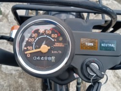 �z���_�S�����i���R�������s�j�摜7
