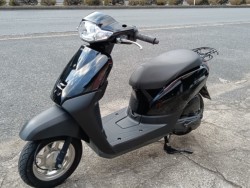 �z���_�^�N�g�E�x�[�V�b�N�i���R�������s�j�摜5