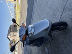 �z���_&nbsp;�X�y�C�V�[100 