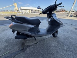 �z���_�X�y�C�V�[100�i���R�����R�s�j�摜3