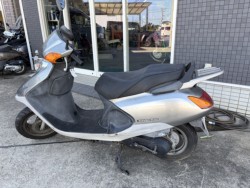 �z���_�X�y�C�V�[100�i���R�����R�s�j�摜4