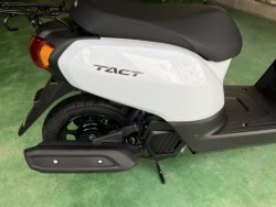 �z���_�^�N�g�i���Q���F�a���s�j�摜8