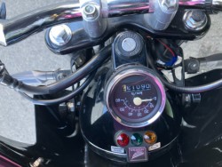 �z���_�G�C�v50 �^�C�vD�i���Q���F�a���s�j�摜13