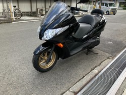�z���_�t�H���c�@�i���Q���F�a���s�j�摜4