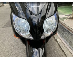 �z���_�t�H���c�@�i���Q���F�a���s�j�摜7