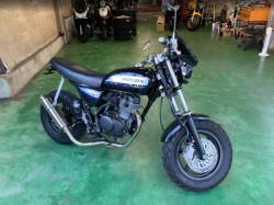 �z���_�G�C�v50 �^�C�vD�i���Q���F�a���s�j�摜19