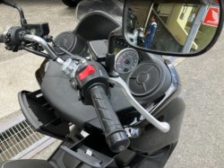 �z���_�t�H���c�@�i���Q���F�a���s�j�摜8