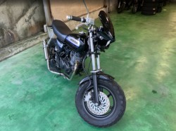 �z���_�G�C�v50 �^�C�vD�i���Q���F�a���s�j�摜20