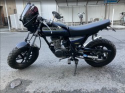 �z���_�G�C�v50 �^�C�vD�i���Q���F�a���s�j�摜3