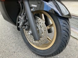 �z���_�t�H���c�@�i���Q���F�a���s�j�摜13