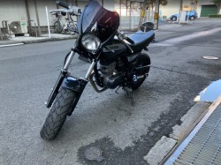 �z���_�G�C�v50 �^�C�vD�i���Q���F�a���s�j�摜2