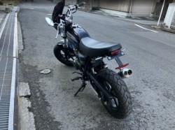 �z���_�G�C�v50 �^�C�vD�i���Q���F�a���s�j�摜4