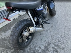 �z���_�G�C�v50 �^�C�vD�i���Q���F�a���s�j�摜5