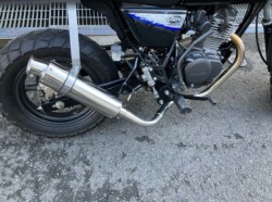 �z���_�G�C�v50 �^�C�vD�i���Q���F�a���s�j�摜6