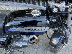 �z���_�G�C�v50 �^�C�vD�i���Q���F�a���s�j�摜8