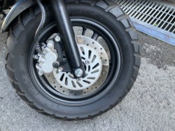 �z���_�G�C�v50 �^�C�vD�i���Q���F�a���s�j�摜7