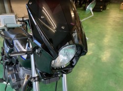 �z���_�G�C�v50 �^�C�vD�i���Q���F�a���s�j�摜10