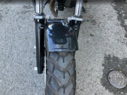 �z���_�G�C�v50 �^�C�vD�i���Q���F�a���s�j�摜17