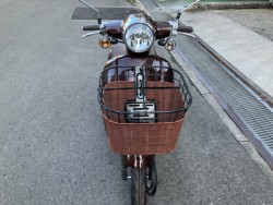 �z���_�W�����m�i���Q���F�a���s�j�摜3