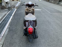 �z���_�W�����m�i���Q���F�a���s�j�摜6