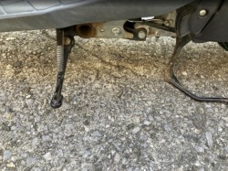 �X�Y�L���b�c4�i���Q���F�a���s�j�摜8