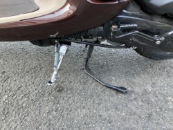 �z���_�W�����m�i���Q���F�a���s�j�摜16