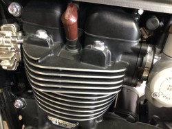 �g���C�A���t�g���C�A���t�E�{���l�r��T120�i���Q�����R�s�j�摜27