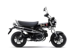 �z���_�_�b�N�X125�i���Q�����R�s�j�摜10
