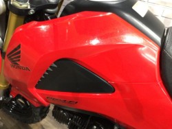 �z���_�O�����i���Q�����R�s�j�摜30