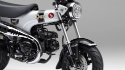 �z���_�_�b�N�X125�i���Q�����R�s�j�摜6