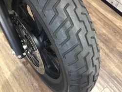 �z���_���u��250�i���Q�����R�s�j�摜3