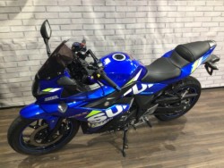 �X�Y�LGSX250R�i���Q�����R�s�j�摜9