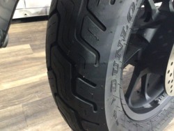 �z���_���u��250�i���Q�����R�s�j�摜6