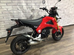 �z���_�O�����i���Q�����R�s�j�摜5