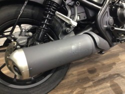 �z���_���u��250�i���Q�����R�s�j�摜7