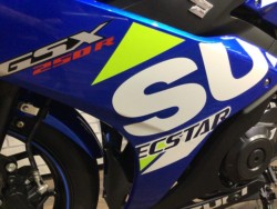 �X�Y�LGSX250R�i���Q�����R�s�j�摜11