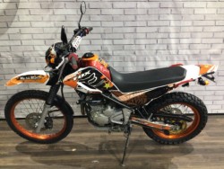 ���}�n�Z���[250�i���Q�����R�s�j�摜8