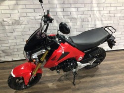 �z���_�O�����i���Q�����R�s�j�摜9