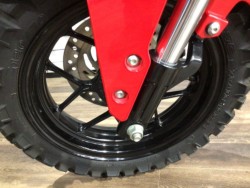 �z���_�O�����i���Q�����R�s�j�摜10