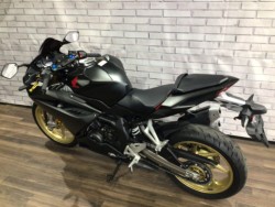 �z���_CBR250RR�i���Q�����R�s�j�摜12